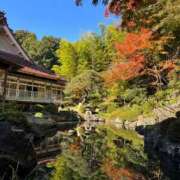 ヒメ日記 2025/11/16 12:33 投稿 サリア Celeb Garden(セレブガーデン)