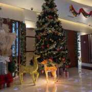 ヒメ日記 2025/12/10 20:51 投稿 サリア Celeb Garden(セレブガーデン)