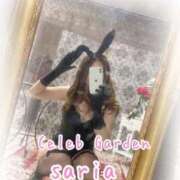 ヒメ日記 2025/12/12 18:12 投稿 サリア Celeb Garden(セレブガーデン)