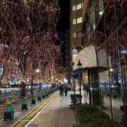 ヒメ日記 2025/12/17 14:03 投稿 サリア Celeb Garden(セレブガーデン)