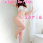 ヒメ日記 2026/01/04 12:13 投稿 サリア Celeb Garden(セレブガーデン)