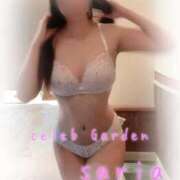 ヒメ日記 2026/01/17 12:03 投稿 サリア Celeb Garden(セレブガーデン)