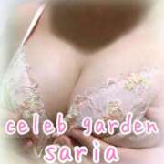 ヒメ日記 2026/01/26 17:03 投稿 サリア Celeb Garden(セレブガーデン)