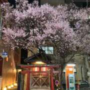 ヒメ日記 2026/03/31 15:27 投稿 サリア Celeb Garden(セレブガーデン)