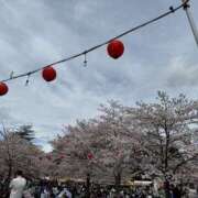 ヒメ日記 2026/04/07 13:27 投稿 サリア Celeb Garden(セレブガーデン)