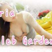 ヒメ日記 2026/05/05 13:03 投稿 サリア Celeb Garden(セレブガーデン)