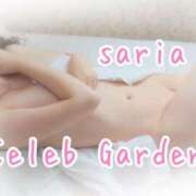 ヒメ日記 2026/06/12 13:18 投稿 サリア Celeb Garden(セレブガーデン)