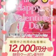 ヒメ日記 2025/02/12 19:04 投稿 クレハ Celeb Garden(セレブガーデン)