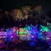 ヒメ日記 2024/12/27 17:33 投稿 ハルミ Celeb Garden(セレブガーデン)