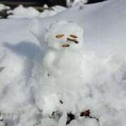 ヒメ日記 2025/01/13 14:42 投稿 ハルミ Celeb Garden(セレブガーデン)