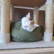 ヒメ日記 2025/06/08 18:12 投稿 ハルミ Celeb Garden(セレブガーデン)