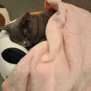 ヒメ日記 2025/12/16 19:03 投稿 ハルミ Celeb Garden(セレブガーデン)