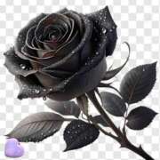 ヒメ日記 2025/01/17 02:00 投稿 中條貴恵 五十路マダム静岡店（カサブランカG）