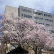 ヒメ日記 2025/04/08 09:34 投稿 ルナ Celeb Garden(セレブガーデン)