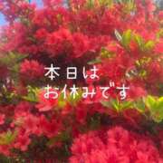 ヒメ日記 2025/06/25 07:03 投稿 ルナ Celeb Garden(セレブガーデン)