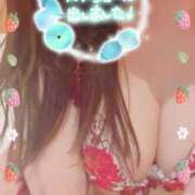 ヒメ日記 2025/08/14 07:45 投稿 ルナ Celeb Garden(セレブガーデン)