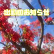 ヒメ日記 2025/08/30 19:45 投稿 ルナ Celeb Garden(セレブガーデン)