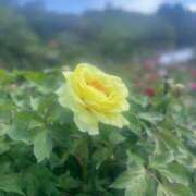 ヒメ日記 2025/11/01 07:33 投稿 ルナ Celeb Garden(セレブガーデン)