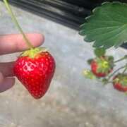 ヒメ日記 2026/04/15 19:18 投稿 ルナ Celeb Garden(セレブガーデン)