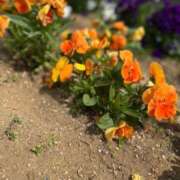 ミサキ 【お礼写メ日記】 Celeb Garden(セレブガーデン)