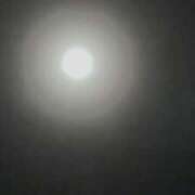 ヒメ日記 2026/02/10 06:42 投稿 ミサキ Celeb Garden(セレブガーデン)