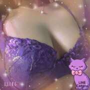 ヒメ日記 2024/12/15 11:18 投稿 ノエル Celeb Garden(セレブガーデン)