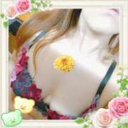 ヒメ日記 2025/02/27 11:49 投稿 ノエル Celeb Garden(セレブガーデン)