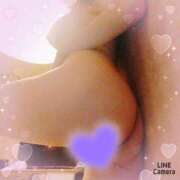 ヒメ日記 2025/11/25 12:42 投稿 ノエル Celeb Garden(セレブガーデン)