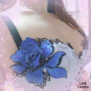 ヒメ日記 2025/12/27 08:42 投稿 ノエル Celeb Garden(セレブガーデン)