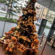 ヒメ日記 2024/12/09 10:53 投稿 あまね ミセスコレクション