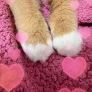 ヒメ日記 2024/12/10 11:08 投稿 あまね ミセスコレクション