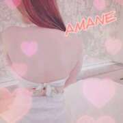 ヒメ日記 2024/12/12 15:27 投稿 あまね ミセスコレクション