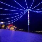 ヒメ日記 2024/12/16 10:33 投稿 あまね ミセスコレクション