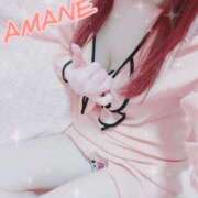 ヒメ日記 2024/12/17 17:25 投稿 あまね ミセスコレクション