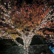 ヒメ日記 2024/12/18 11:34 投稿 あまね ミセスコレクション