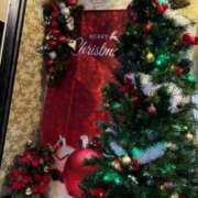 ヒメ日記 2024/12/24 17:23 投稿 あまね ミセスコレクション