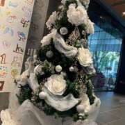 ヒメ日記 2024/12/25 10:03 投稿 あまね ミセスコレクション