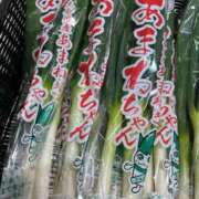 ヒメ日記 2025/01/17 11:53 投稿 あまね ミセスコレクション