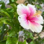 ヒメ日記 2025/02/01 10:03 投稿 あまね ミセスコレクション