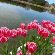 ヒメ日記 2025/03/01 10:23 投稿 あまね ミセスコレクション