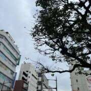 ヒメ日記 2025/03/17 11:29 投稿 あまね ミセスコレクション