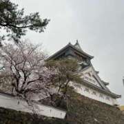 ヒメ日記 2025/03/21 10:03 投稿 あまね ミセスコレクション