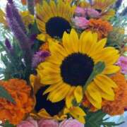 ヒメ日記 2025/03/27 10:53 投稿 あまね ミセスコレクション