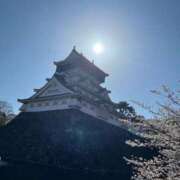 ヒメ日記 2025/04/08 13:33 投稿 あまね ミセスコレクション