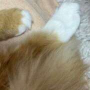 ヒメ日記 2025/04/24 14:02 投稿 あまね ミセスコレクション