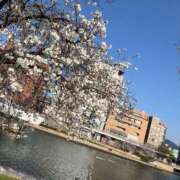 ヒメ日記 2025/05/16 11:23 投稿 あまね ミセスコレクション