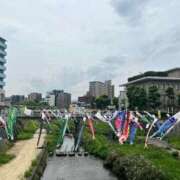 ヒメ日記 2025/05/31 10:04 投稿 あまね ミセスコレクション