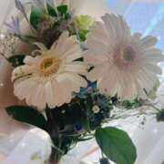 ヒメ日記 2025/06/04 10:03 投稿 あまね ミセスコレクション