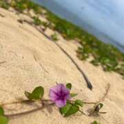 ヒメ日記 2025/06/05 10:23 投稿 あまね ミセスコレクション