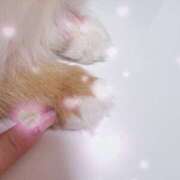 ヒメ日記 2025/07/03 10:16 投稿 あまね ミセスコレクション